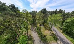 zdjęcie z drona - lasy leoncińskie